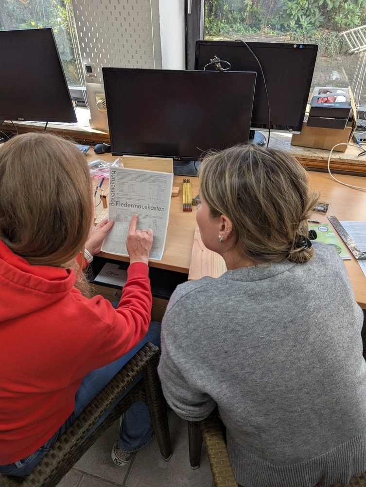 Zwei Personen lesen die Bauanleitung der Fledermauskasten